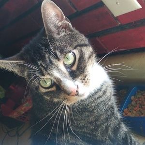 Meet your Posher, Ashton